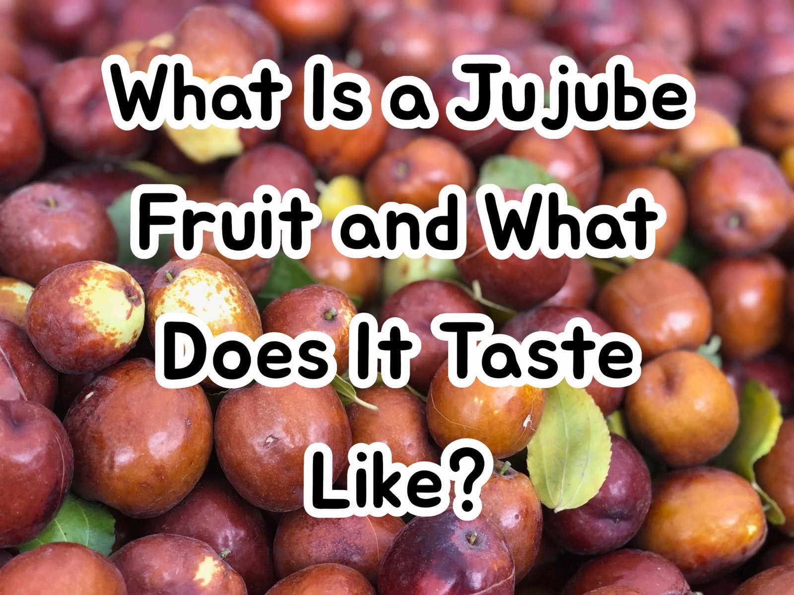 What Is a Jujube Fruit and What Does It Taste Like