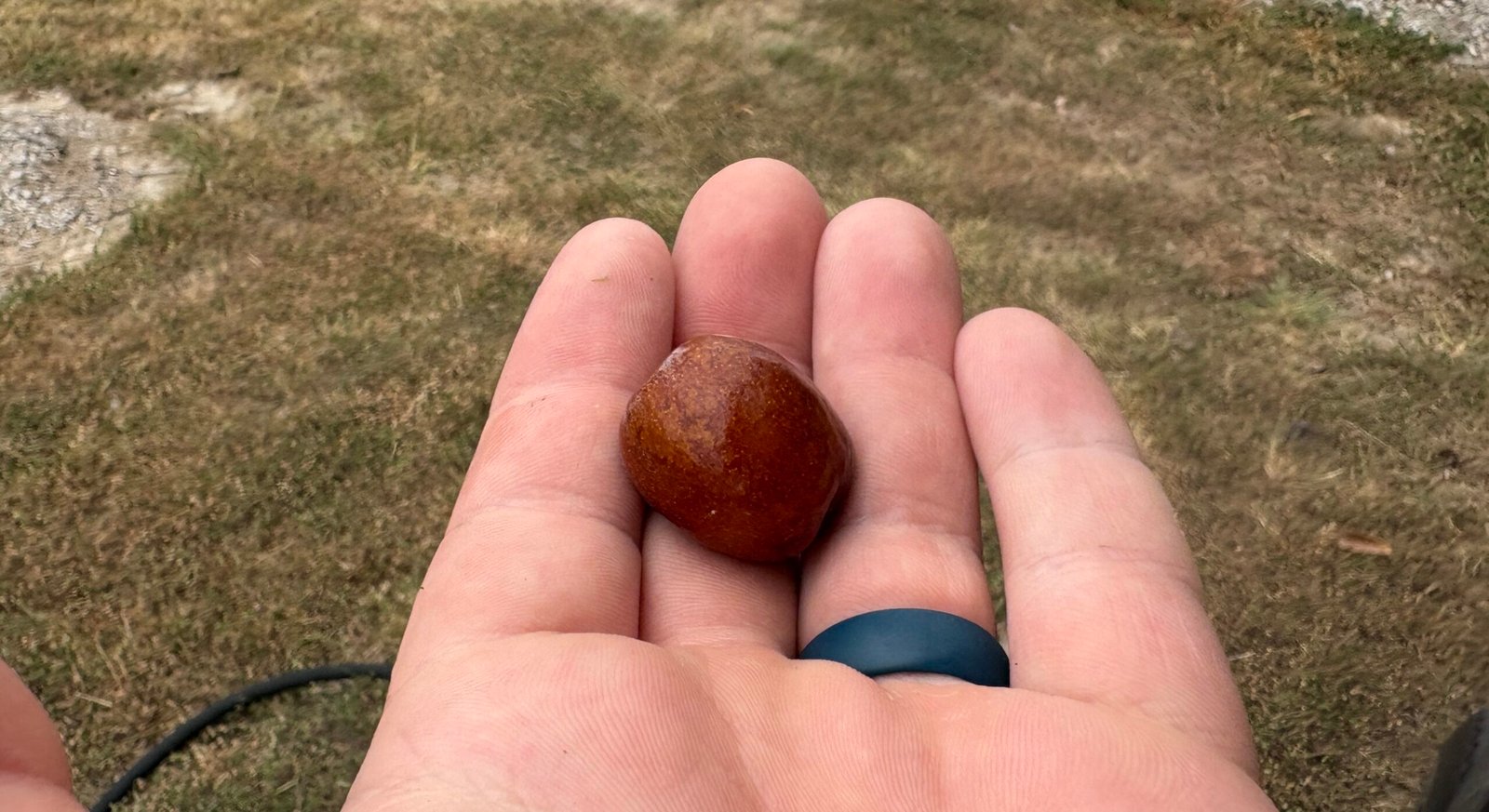 What Does a Ripe Jujube Look Like?
